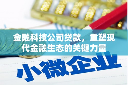 邵阳县金融科技公司贷款，重塑现代金融生态的关键力量