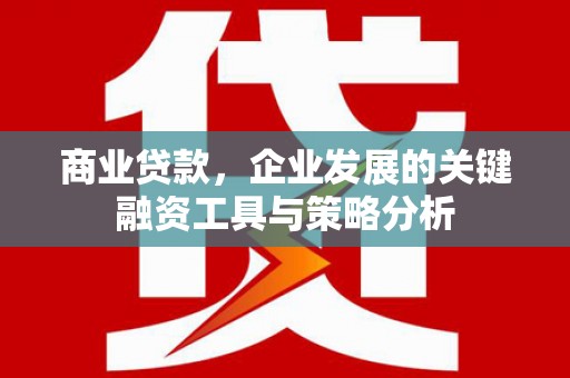 南长商业贷款，企业发展的关键融资工具与策略分析