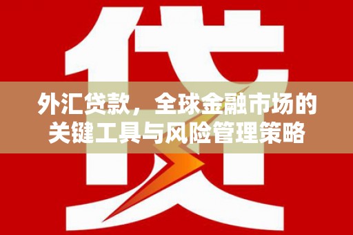 吉木乃外汇贷款，全球金融市场的关键工具与风险管理策略