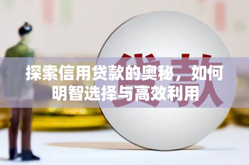 阜沙探索信用贷款的奥秘，如何明智选择与高效利用
