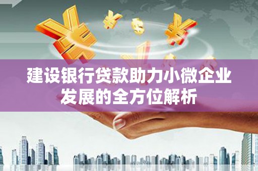 多伦建设银行贷款助力小微企业发展的全方位解析