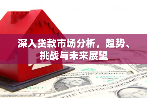 信州深入贷款市场分析，趋势、挑战与未来展望
