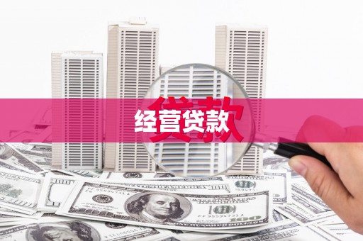 东山经营贷款