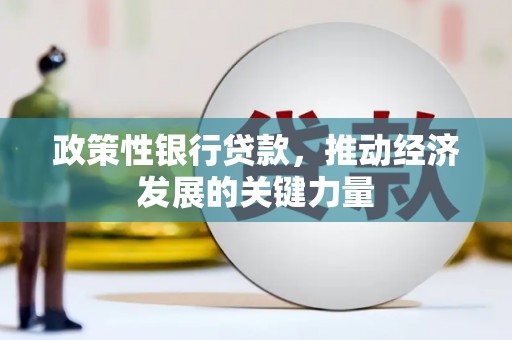 西塞山政策性银行贷款，推动经济发展的关键力量