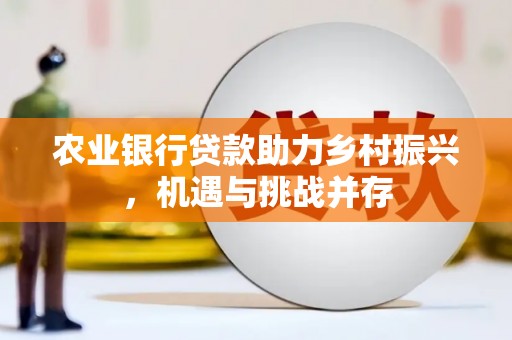 周口农业银行贷款助力乡村振兴，机遇与挑战并存
