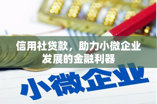 洮北信用社贷款，助力小微企业发展的金融利器