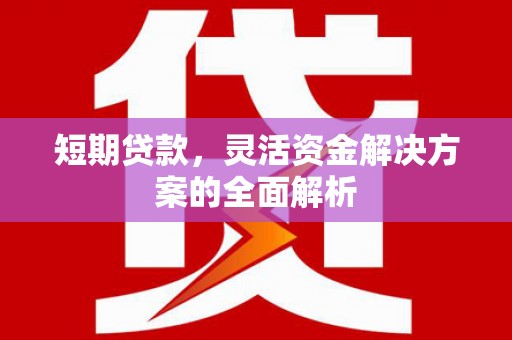 柳营短期贷款，灵活资金解决方案的全面解析