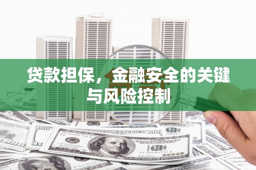 西螺贷款担保，金融安全的关键与风险控制