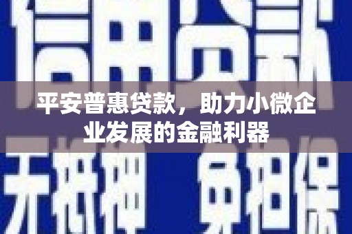 朴子平安普惠贷款，助力小微企业发展的金融利器