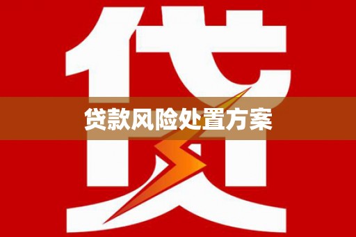岑巩贷款风险处置方案
