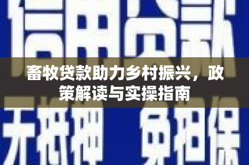 惠安畜牧贷款助力乡村振兴，政策解读与实操指南