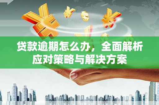 云龙贷款逾期怎么办，全面解析应对策略与解决方案