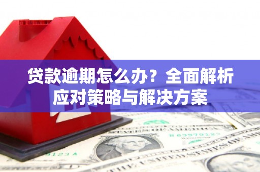 美溪贷款逾期怎么办？全面解析应对策略与解决方案
