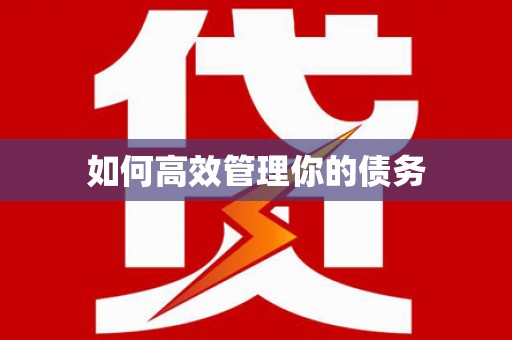 板桥如何高效管理你的债务