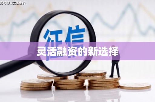 米林灵活融资的新选择