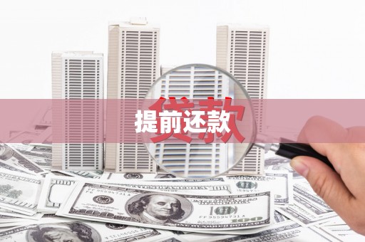 将军提前还款