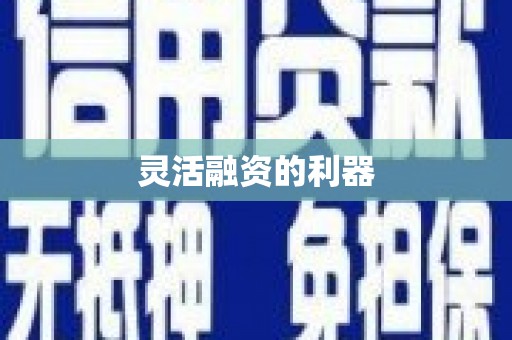 荔城灵活融资的利器