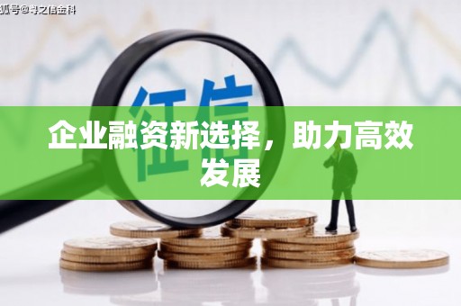埌东企业融资新选择，助力高效发展