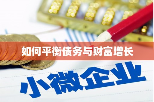 龙崎如何平衡债务与财富增长